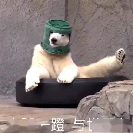 爆料最新角色沙雕图片高清,笑料百出，网友直呼“太可爱”