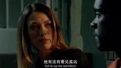 目击者美剧 在线观看,揭秘真实事件背后的惊人真相  第2张